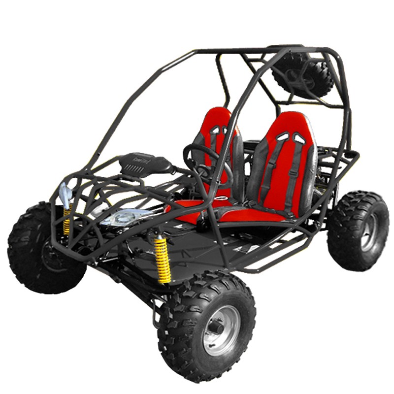 one seater go kart for sale